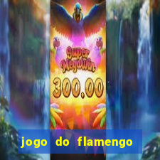 jogo do flamengo ao vivo rede canais